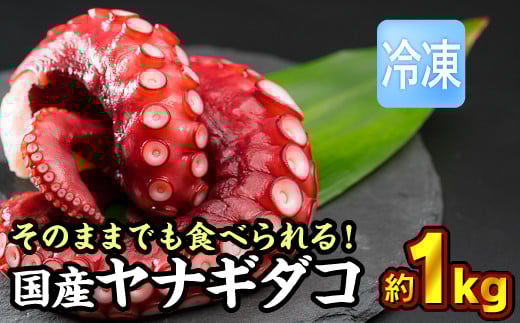 yⓀzYiM_R Pkgi250g × S܁jZbg   |Ïk ՂՂ ӂ 炩  ^R@ |Ïk  ^Rg ^R̓g Ă ^RĂ | 