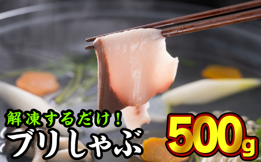Ԃԗpu؂g@喞500gZbgi100g × 5pbNj uh Ԃ  u Ԃ肵 Ԃ  ؂g ^ lC LO  喞    C