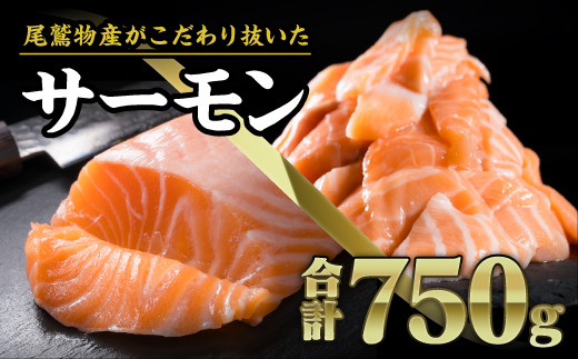 T[ ubN&؂藎Ƃ750gZbg   T[ AgeBbNT[ ۋKiSQF2000  VP Ⴏ sake Jpb` \e[ AXe[L lC  喞 