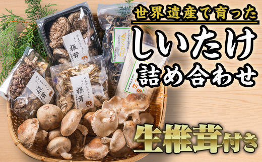 椎茸づくし!しいたけ詰め合わせセット FA-4三重県尾鷲市15000調味料・油だし