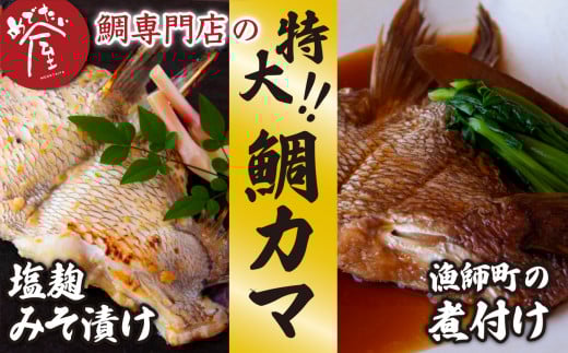 鯛専門店 の 大きな鯛 カマ 2種 <塩麹みそ漬け/煮付け>(約500g) 三重県 尾鷲 鯛 専門店 ME-71三重県尾鷲市7000魚介・海産物鮮魚