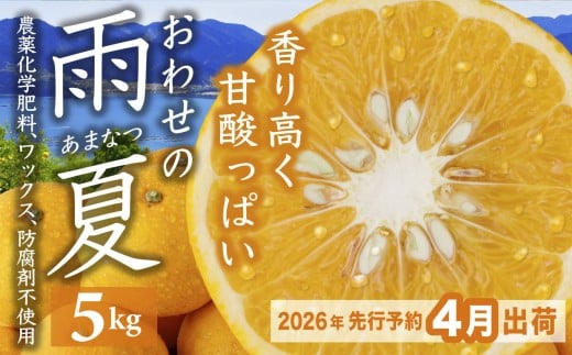 【先行予約 4月出荷】  おわせの雨夏(あまなつ)  5kg 無農薬 ワックス・防腐剤不使用 木成り 完熟 甘夏  ギフト 贈答 日用 でも使える 三重 尾鷲 の 柑橘 特産品  TK-13三重県尾鷲市8000果物