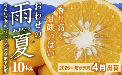 【先行予約 4月出荷】 おわせの雨夏(あまなつ)  10kg 無農薬 ワックス・防腐剤不使用 木成り 完熟 甘夏  ギフト 贈答 日用 でも使える 三重 尾鷲 の 柑橘 特産品   TK-16三重県尾鷲市14000果