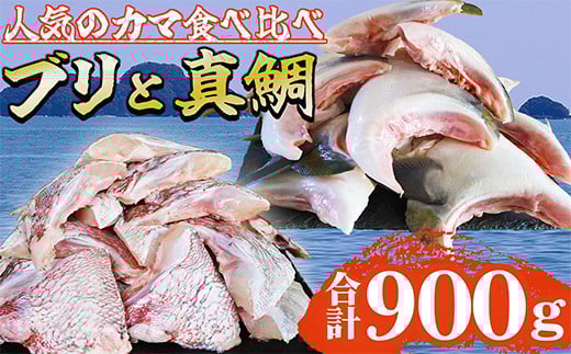 人気のカマ 食べ比べセット ブリカマ 真鯛カマ 切り落とし 合計900g 大容量 小分け パック 国産 希少部位 ブリ ぶり 鰤 頭肉 塩焼き  煮付け 照り焼き ブリ大根 アクアパッツァ 真鯛 マダイ 鯛