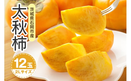 【 2025年 先行予約 】 太秋柿 2L 12玉(鈴木柿園) 柿 甘い柿 太秋かき 大玉 カキ 甘い 果物 フルーツ くだもの カキ 太秋かき 秋 旬 甘柿 糖度 贈答用 贈答品 ギフト 贈り物 品種 ブランド 10月