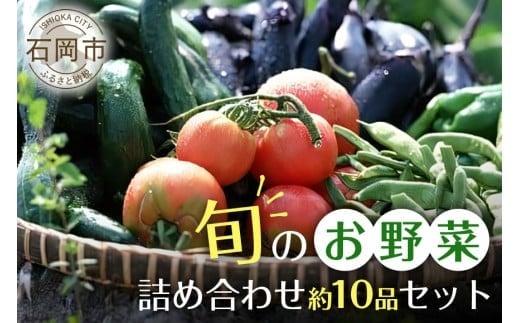 石岡の旬野菜詰め合わせ 約10品目 新鮮野菜セット 野菜 詰合せ 詰め合わせセット 詰め合わせ お任せ 旬の味 産地直送 農家直送 産直 お任せセット 茨城県 石岡市 ほりぐち農園 (B01-001)茨城県