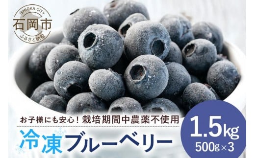 元気に育った ブルーベリー 1.5kg 冷凍 ( 500g 3パック ) 農薬 栽培期間中 不使用 果物 フルーツ 1.5キロ 手摘み 急速冷凍 国産 産地直送 農家直送 産直 夏 7月 以降 発送 くだもの スムージー ジャ