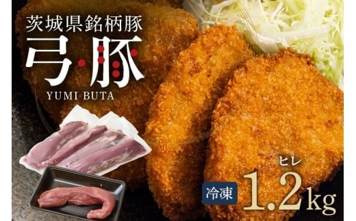 | q Zbg 1.2kg ؓ a   q Y i  Yn wV[ ƒp Mtg Ⓚ ^pbN ys\ 2026N3ȍ~\z (C01-008)錧Ήs10000ؓ