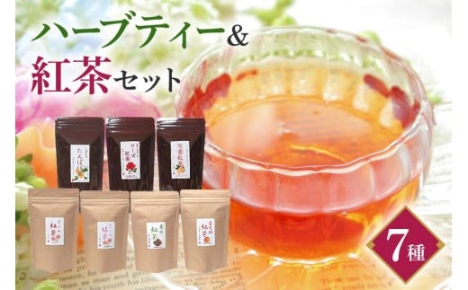 紅茶 &ハーブティー セット 生姜紅茶 ローズ紅茶 たんぽぽ茶 栗 紅茶 柿 紅茶 さくら 紅茶 さくら 緑茶 リラックス 健康茶 癒し ホットティー お茶 ハーブ フルーツティー 茨城県 石岡市 (E15-0