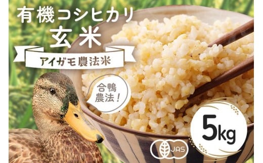 【令和7年産】有機 コシヒカリ 玄米 5kg 有機栽培 有機米 特別栽培米 合鴨農法 こしひかり お米 米 おこめ ブランド米 こしひかり 5キロ 国産 単一原料米 コメ こめ ご飯 銘柄米 茨城県産 茨城