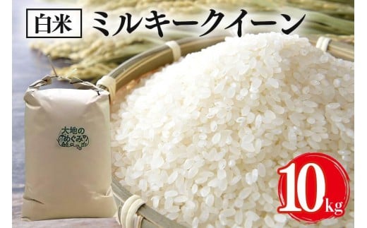【令和7年産】お米 ( ミルキークイーン ) 白米10kg お米 白米 米 おこめ ブランド米 ミルキー 10キロ 国産 単一原料米 コメ こめ ご飯 銘柄米 茨城県産 茨城 産直 産地直送 農家直送 お取り寄せ