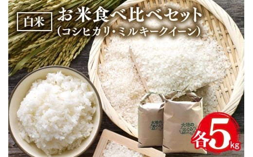 【令和7年産】お米 食べ比べ セット( 白米 ) 各 5kg 計 10kg こしひかり ミルキークイーン 2種類 コシヒカリ お米 米 おこめ ブランド米 5キロ 10キロ 国産 単一原料米 コメ こめ ご飯 銘柄米 茨城
