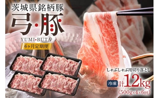 弓豚 6ヶ月【定期便】 しゃぶしゃぶ用 切り落とし 豚肉 真空パック 500g×4 冷凍便 小分け 国産 ブランド豚 銘柄豚 豚 国産豚 国産豚肉 ストック用 家庭用 おかず用 冷凍豚肉 茨城県 石岡市 【