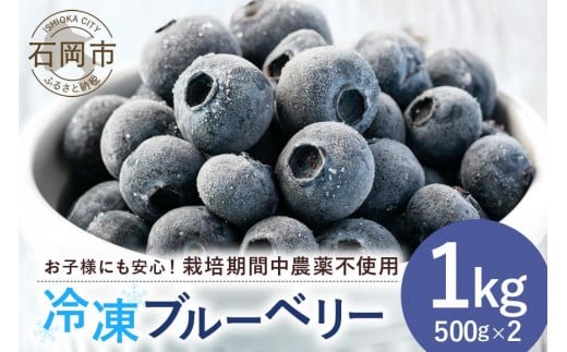 元気に育った ブルーベリー 1kg 冷凍 ( 500g 2パック ) 農薬 栽培期間中 不使用 果物 フルーツ 1キロ 手摘み 急速冷凍 国産 産地直送 農家直送 産直 夏 7月 以降 発送 くだもの スムージー ジャム
