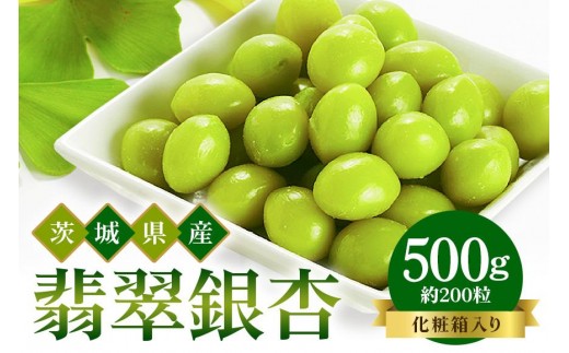 つくば 銀杏 ( ぎんなん ) 蒸し 冷凍 翡翠銀杏 ( ひすいぎんなん ) 500g 農薬不使用 無着色 贈答品 ギフト 高級 旬 食材 食品 国産 冷凍保存 産地直送  (A24-002)茨城県石岡市12000野菜・きのこその