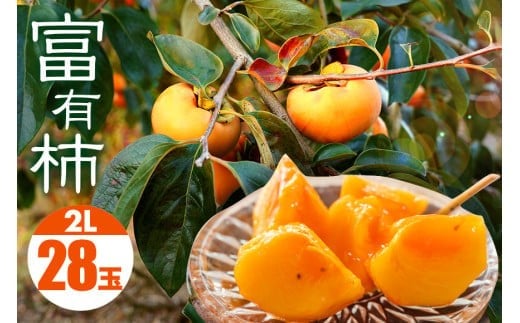 y 2025N s\ z xL` 2L 28 (14×2i) ʎ ` Â`  xLJL Â ʕ t[c  JL xL H { Ê` x p i Mtg 蕨 i u