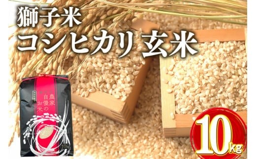 yߘa7NYzq RVqJ  10kg ct@[ ReXgܕ    uh Ђ 10L Y Pꌴ R    錧Y  Y Yn