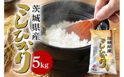 【令和6年産】石岡市産コシヒカリ 5kg 精米 限定30袋 米 お米 こしひかり 白米 こめ コシヒカリ 5.0kg ブランド米 取り寄せ 特産 ごはん ご飯 コメ お取り寄せ ギフト 贈り物 お弁当 弁当 おにぎ