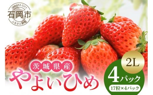 【2026年先行予約】やよいひめ 2L いちご イチゴ 苺 17粒 4パック 1kg 以上 国産 果物 フルーツ くだもの 1月 2月 3月 発送 冬 旬 産地直送 農家直送 産直 甘い デザート スイーツ 家庭用 贈答 贈答