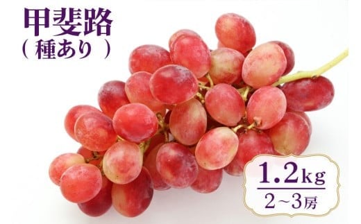 【 2025年 先行予約 】 甲斐路 ( 種あり ) 1.2kg 開田ぶどう園 2房 〜 3房 ぶどう ブドウ 国産 果物 くだもの 葡萄 フルーツ 1.2キロ 1kg 以上 9月 発送 夏 秋 旬 品種 茨城県産 産地直送 産直 農家直