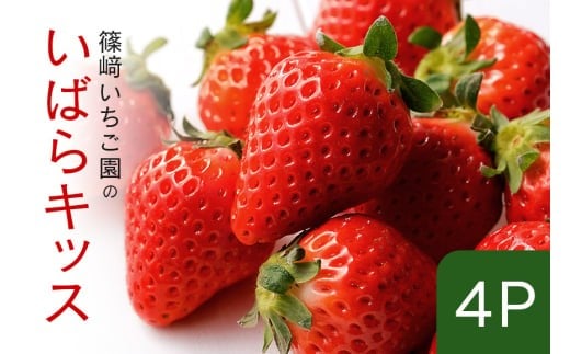 【2026年先行予約】いばらキッス4P (A32-005)茨城県石岡市14000果物・フルーツいちご
