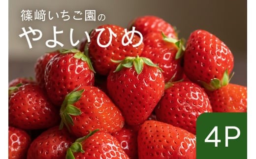【2026年先行予約】やよいひめ4P (A32-007)茨城県石岡市14000果物・フルーツいちご
