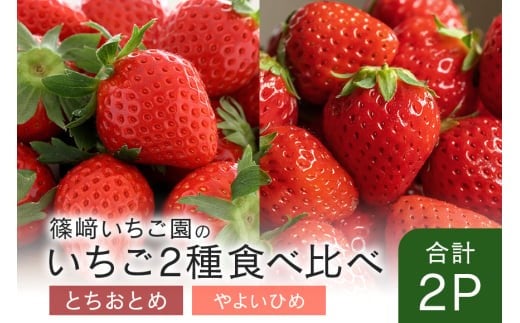 【2026年先行予約】とちおとめ1P&やよいひめ1P (A32-009)茨城県石岡市7000果物・フルーツいちご