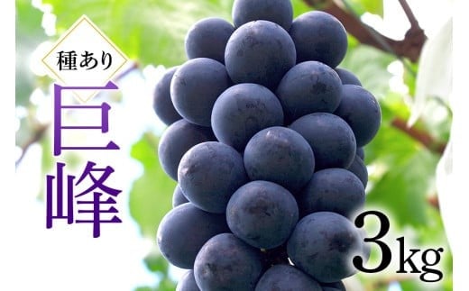 3kg ( 킠 ) cԂǂ Ԃǂ uhE Y ʕ   nԂǂ Â t[c 3L 9  H { i 錧Y Yn Y _ƒ ① 錧 Ήs (A06-002)