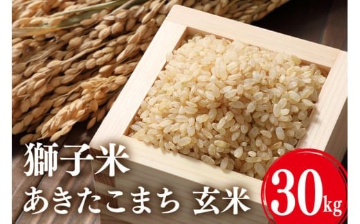 【令和7年産】獅子米 あきたこまち 玄米30kg お米 米 玄米 おこめ ブランド米 30キロ 国産 コメ こめ ご飯 銘柄米 茨城県産 茨城 産直 産地直送 農家直送 ごはん 家庭用 贈答用 お取り寄せ 茨城