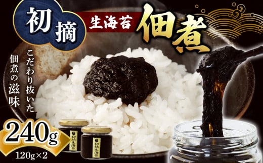 初摘 生海苔 佃煮 120g×2 | 魚貝類 海産物 海の幸 海苔 のり 海苔の佃煮 熊本県 玉名市熊本県玉名市8000魚介・海産物のり・海藻