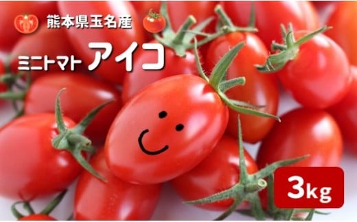 『かめまる農園』ミニトマト アイコ 3kg 熊本県玉名市産 | 野菜 やさい トマト とまと ミニとまと 熊本県 玉名市熊本県玉名市16000野菜・きのこトマト