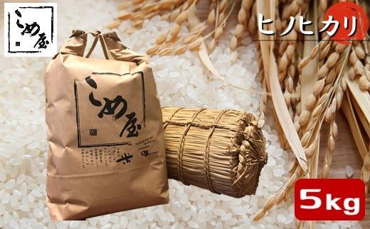 熊本県産 「 ヒノヒカリ 」 5kg | 米 こめ お米 おこめ 白米 精米 ひのひかり 熊本県 玉名市熊本県玉名市20000米・パン白米