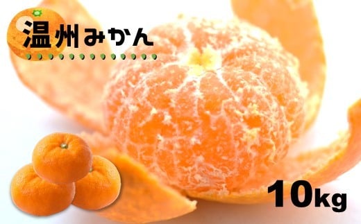 温州みかん 10kg 【熊本玉名・みかん専門店より】 | フルーツ 果物 くだもの 柑橘 ミカン みかん 玉名 たまな 熊本県 玉名市熊本県玉名市17000果物・フルーツみかん・柑橘類