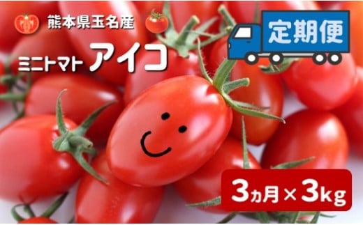ミニトマト アイコ 【3ヶ月定期便】 | 野菜 やさい トマト とまと みにとまと 熊本県 玉名市 定期 定期便熊本県玉名市47000野菜・きのこトマト