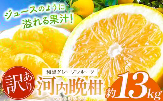 訳あり 河内晩柑 約 13kg 後藤農園 | 柑橘 みかん フルーツ 家庭用 和製 グレープフルーツ 果物 熊本県産熊本県玉名市14000果物・フルーツみかん・柑橘類