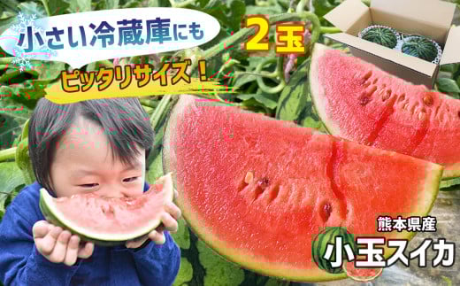 y4`6z XCJ  F{ I   2 F{Y ʕ  Z t[c |  ʃXCJ ʂ F{ ʖsF{ʖs15000ʕEt[cEXCJ