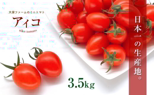 wƃt@[x ̃~jg}g ACR 3.5kg b  ₳ Ƃ܂ g}g ~jg}g ACR F{ ʖsF{ʖs14000؁Êg}g