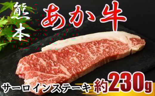   T[CXe[L 230g×1 |   ԋ T[C Xe[L a F{YF{ʖs14000