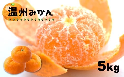 温州みかん 5kg 【熊本玉名・みかん専門店より】 | フルーツ 果物 くだもの 柑橘 ミカン みかん 玉名 たまな 熊本県 玉名市熊本県玉名市10000果物・フルーツみかん・柑橘類