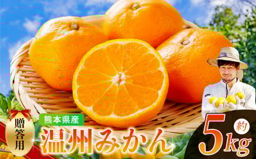 ノナカ柑橘農園 の 温州みかん 5kg | フルーツ 果物 くだもの 柑橘 みかん ミカン 温州ミカン 熊本県 玉名市熊本県玉名市10000果物・フルーツみかん・柑橘類