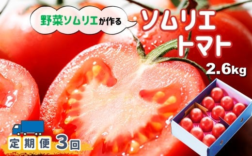 yցzyʍ͔|_Yz\Gg}g ( g}g 2.6kg ) × 3 |  ₳ Ƃ܂ ؃\G ̕ F{ ʖsF{ʖs40000؁Êg}g