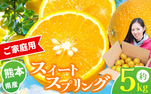 『 かめまる食堂 』 熊本県産 ご家庭用 スイートスプリング 約 5kg | 果物 くだもの フルーツ 柑橘 柑橘類 みかん 訳あり 熊本県 玉名市熊本県玉名市10000果物・フルーツみかん・柑橘類