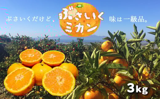 ぶさいくミカン 3kg | フルーツ 果物 くだもの 柑橘 ミカン みかん 専用箱 熊本県 玉名市熊本県玉名市12000果物・フルーツみかん・柑橘類
