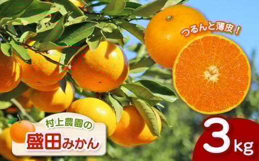 『 村上農園 』 盛田みかん 3kg | フルーツ 果物 くだもの 柑橘 柑橘類 ミカン みかん 熊本県 玉名市熊本県玉名市11000果物・フルーツみかん・柑橘類