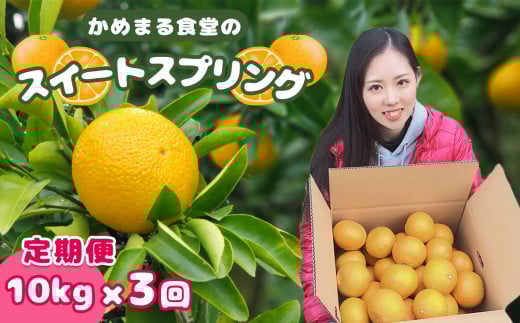 【 定期便 3回 】 スイートスプリング ( 10kg × 3回 ) | フルーツ 果物 くだもの 柑橘 柑橘類 ミカン みかん 熊本県 玉名市熊本県玉名市45000果物・フルーツみかん・柑橘類