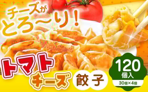 トマトチーズ餃子 120個入り | 食品 中華 加工品 おかず 一品 餃子 ぎょうざ トマト チーズ 熊本県 玉名市熊本県玉名市15000鍋セット・総菜・加工食品総菜
