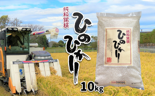 ヒノヒカリ ( 検査米 ) 10kg | 米 こめ お米 おこめ 白米 精米 ひのひかり 熊本県 玉名市熊本県玉名市17000米・パン白米