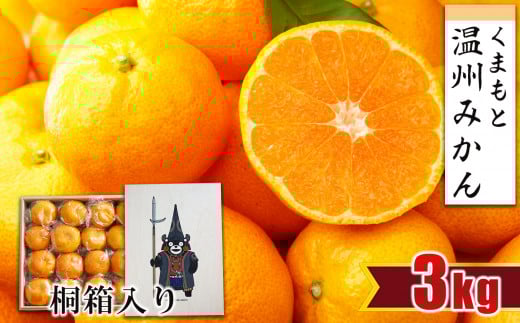 【 贈答用 ・ 桐箱 】 温州みかん 約3kg | フルーツ 果物 くだもの 柑橘 ミカン みかん 温州ミカン ギフト 熊本県 玉名市熊本県玉名市21000果物・フルーツみかん・柑橘類