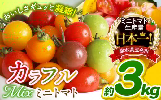 ミニトマト 生産量 日本一 玉名市 !! サザキ農園 ミニトマト 彩りセット( ミックス )約 3kg  | 野菜 トマト ミニトマト プチトマト とまと カラフル トマト 宝石 ミニトマト 熊本県 玉名市熊