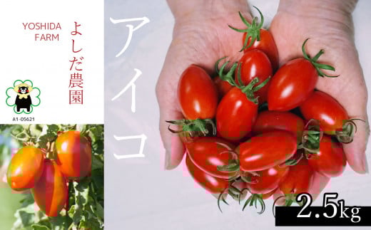 ミニトマト 『 アイコ ( 赤色 ) 』 約2.5kg よしだ農園 | 野菜 やさい トマト とまと 完熟 熊本県 玉名市熊本県玉名市14000野菜・きのこトマト